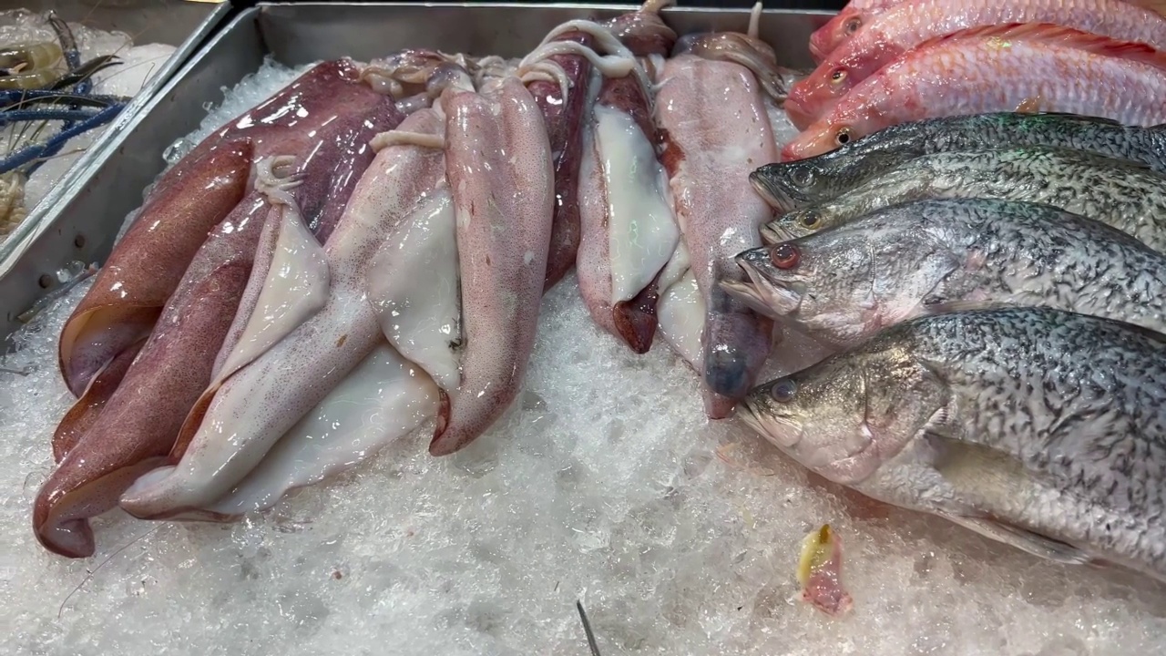 海鲜和墨鱼放在冰上准备烹饪。视频素材