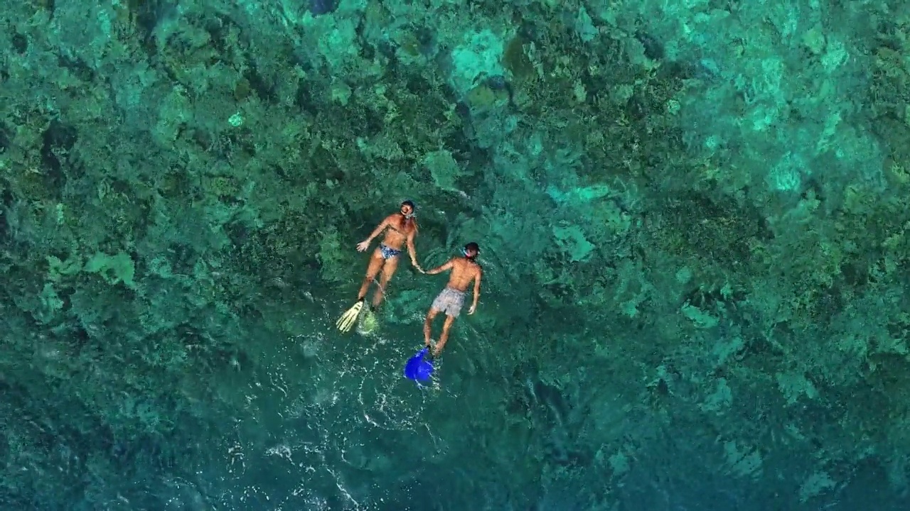 用无人机拍摄的年轻夫妇在海洋的珊瑚礁上浮潜视频下载