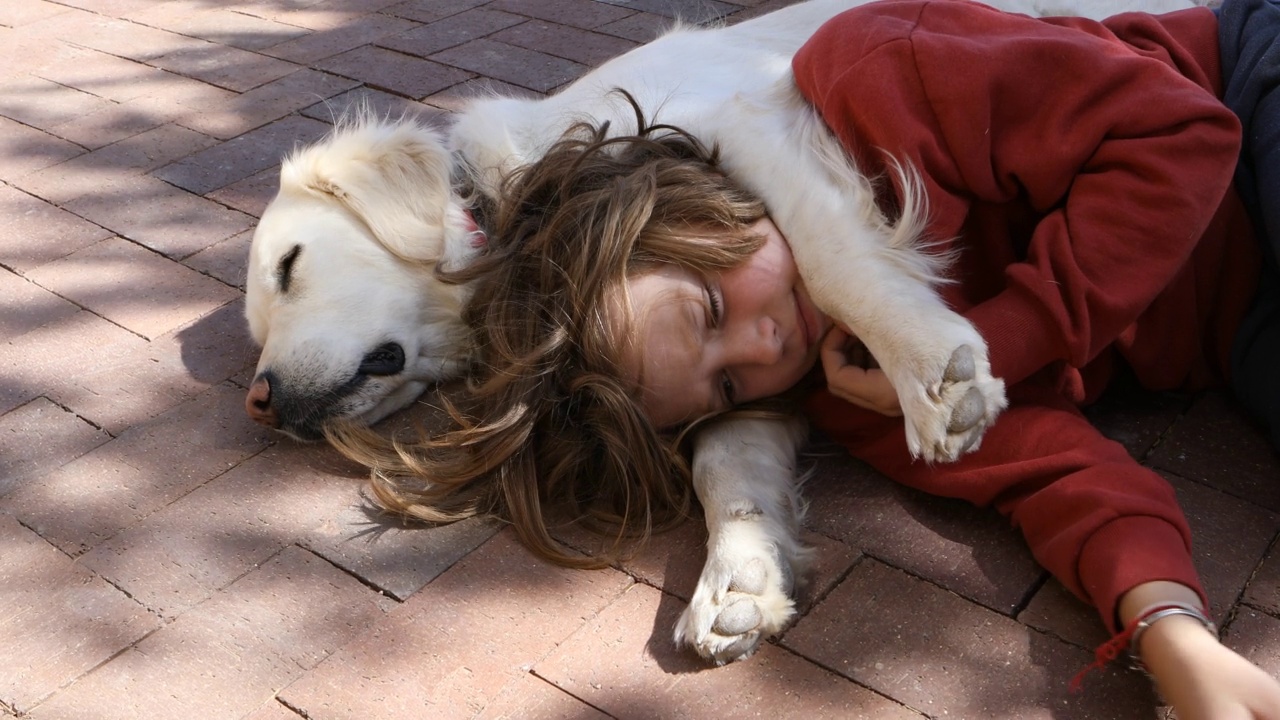 八岁的小男孩躺在他的金毛猎犬上视频素材