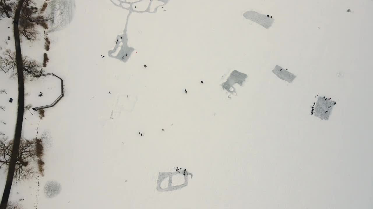 多伦多结冰湖的鸟瞰图视频下载