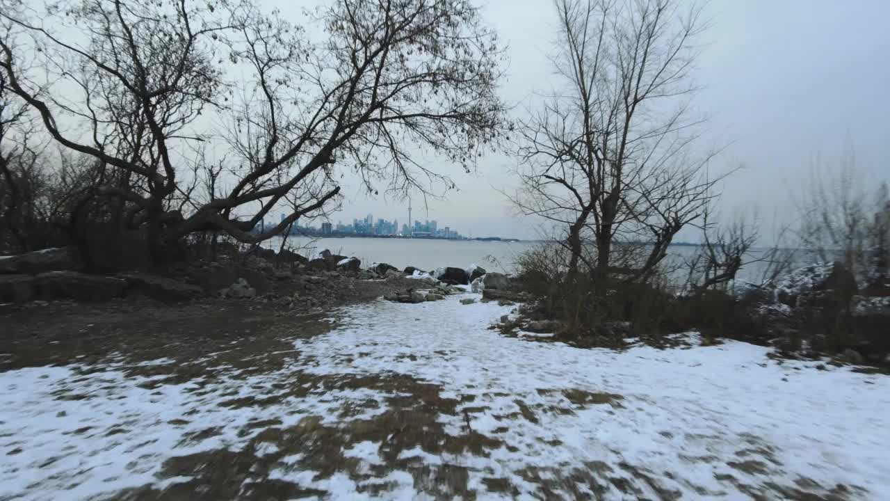 多伦多冬季仙境的天际线视频下载