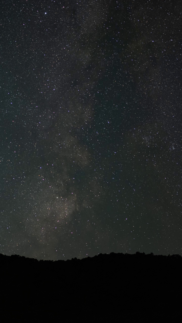 山林越しに夜空を移動する天の川 (縦, タイムラプス); Milky Way over a Dark Forest at Night (Vertical, Panning)视频下载
