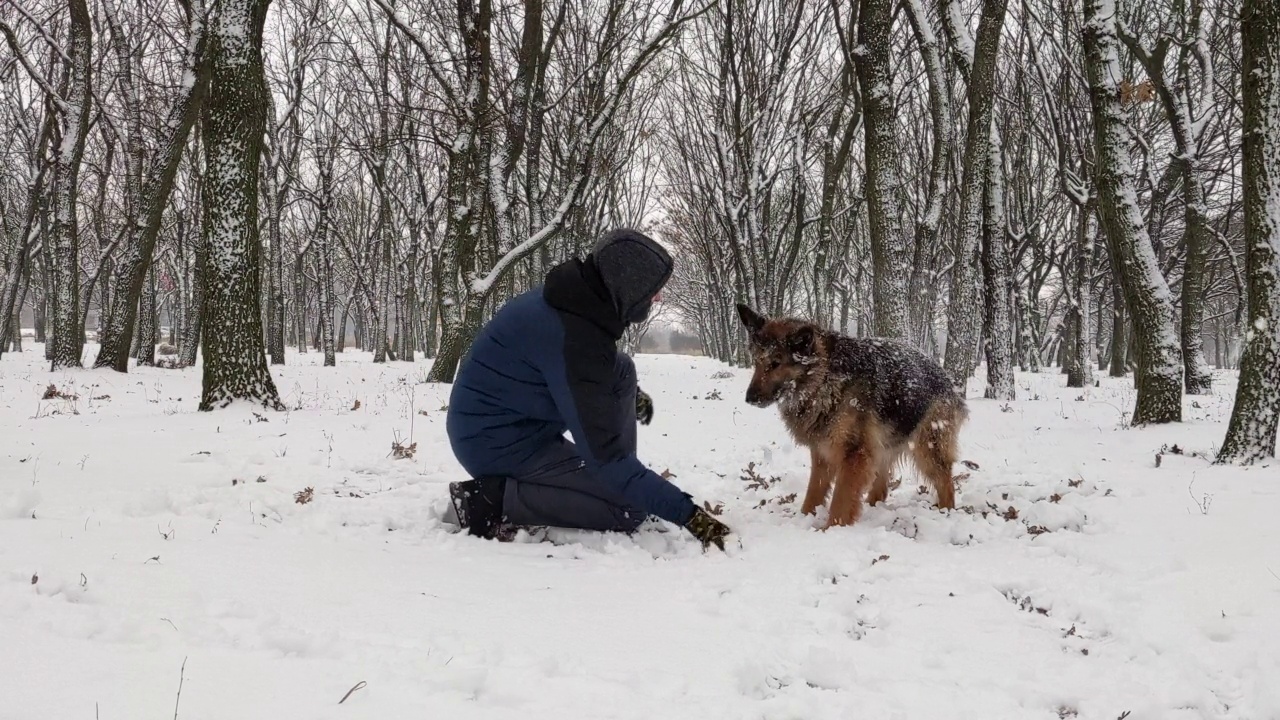 一个男人和他的狗在雪地里玩，扔雪球。视频素材