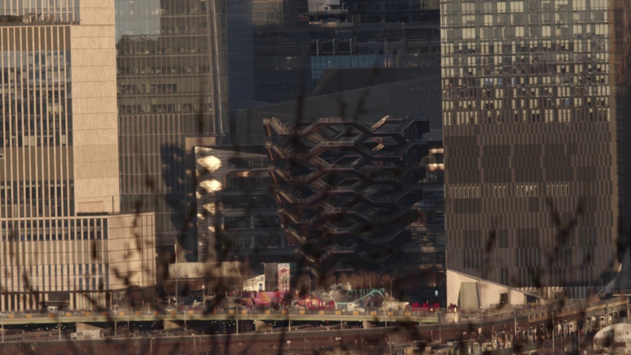 机架焦点从树到曼哈顿背景4K视频下载