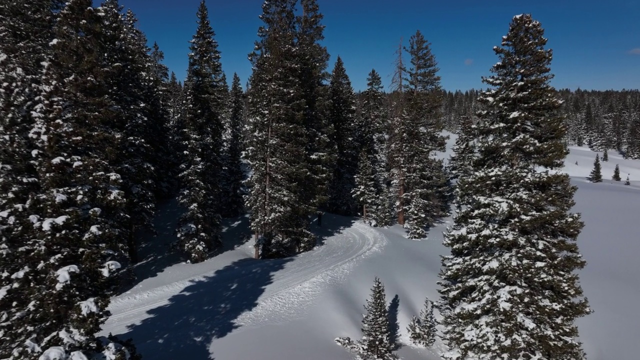 广角电影推动空中拍摄的越野滑雪者沿着一个整洁的小道通过树木在一个清晰，阳光明媚的“蓝鸟”日在科罗拉多的大梅萨国家森林滑雪视频下载
