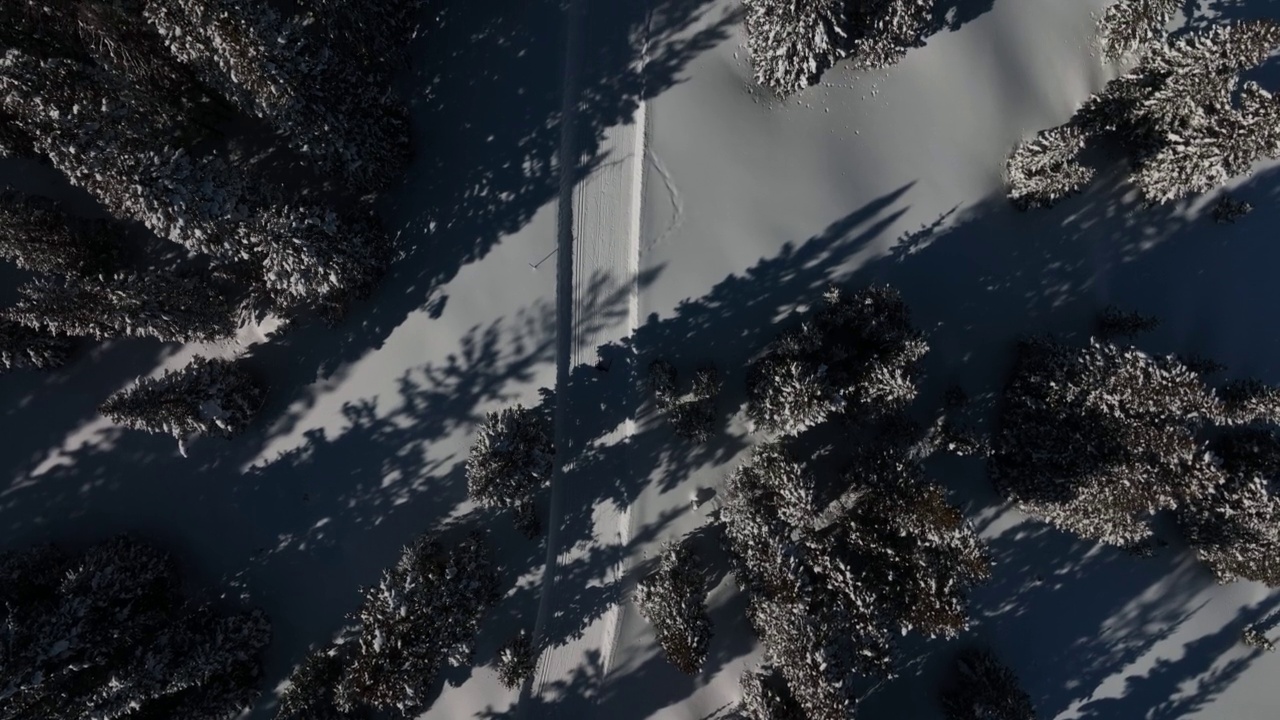 在科罗拉多的Grand Mesa国家森林，一个晴朗的、阳光明媚的“蓝鸟”日，在“V2”方法中沿着修剪过的小道滑雪，一个越野滑雪者直接上方的广角空中拍摄视频下载