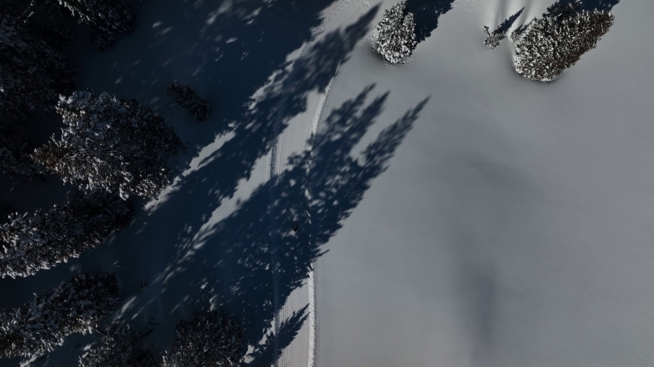 在科罗拉多的Grand Mesa国家森林，一个晴朗的、阳光明媚的“蓝鸟”日，在“V2”方法中沿着修剪过的小道滑雪，一个越野滑雪者直接上方的广角空中拍摄视频下载