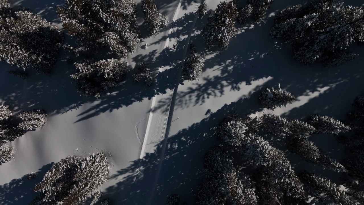 在科罗拉多的格兰德台地国家森林，一个晴朗的、阳光明媚的“蓝鸟”日，在“V2”方法中沿着修剪过的小道滑雪，一个越野滑雪者直接上方的广角空中拍摄视频下载