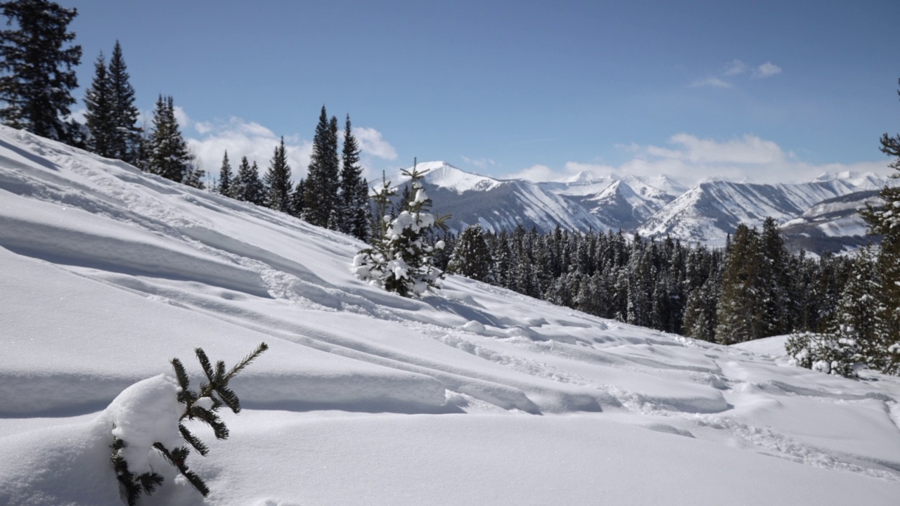 户外冬季运动高年级高山滑雪视频素材