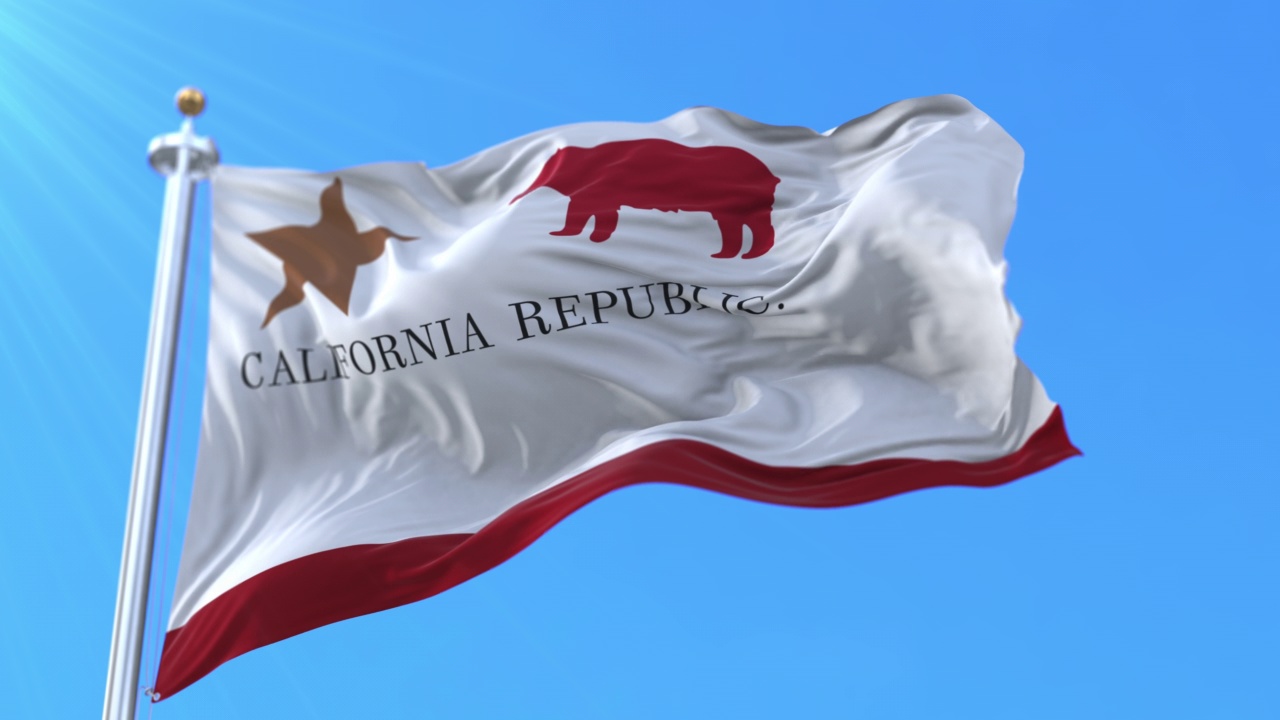 熊旗，美国加州共和国的最初旗帜。循环视频下载