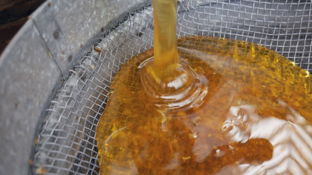 从蜂蜜提取器中提取出来的蜂蜜经过一个筛子过滤。蜂蜜从桶里倒进滤器视频素材