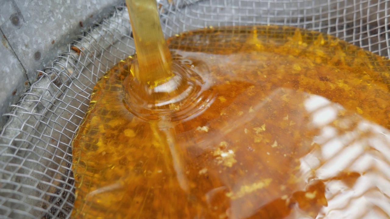 从蜂蜜提取器中提取出来的蜂蜜经过一个筛子过滤。蜂蜜从桶里倒进滤器视频素材
