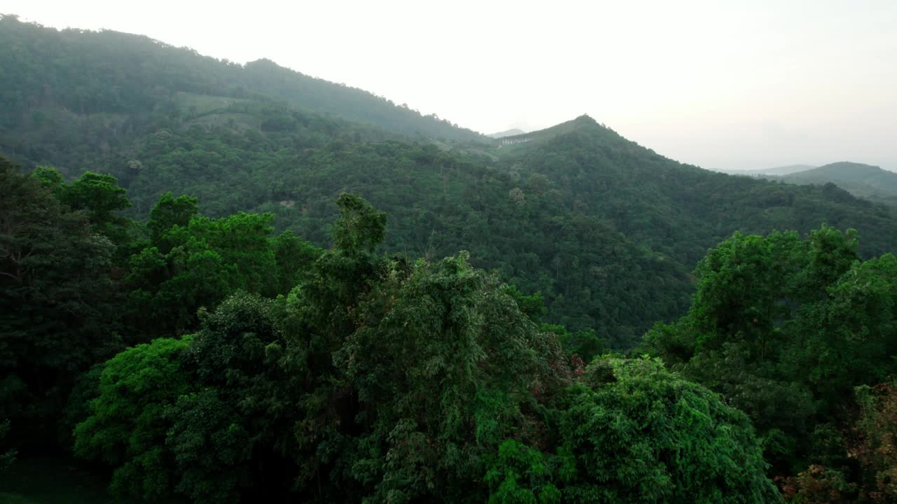 鸟瞰泰国苏梅岛热带雨林的自然景观视频下载