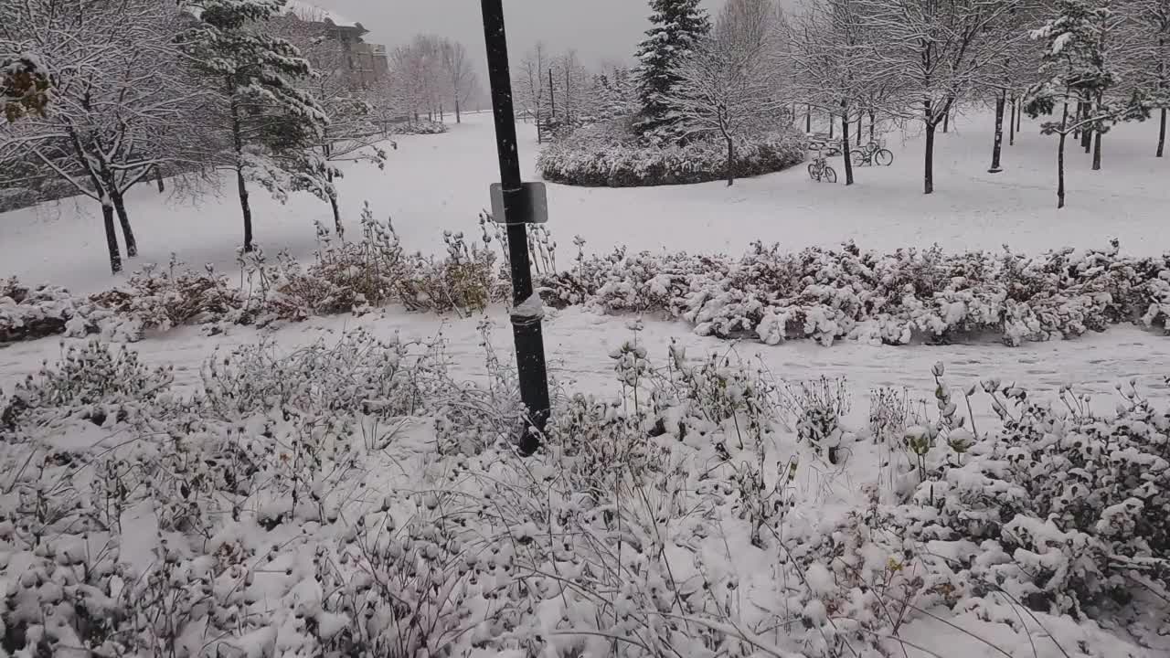 FPV无人机在冬季仙境飞行视频下载