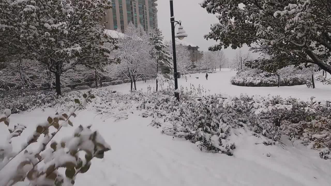 积雪的无人机在结冰的公园上空飞行视频下载