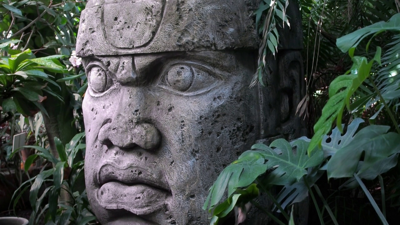 奥尔梅克用石头雕刻的雕塑。玛雅符号-丛林中的大石头雕像视频素材