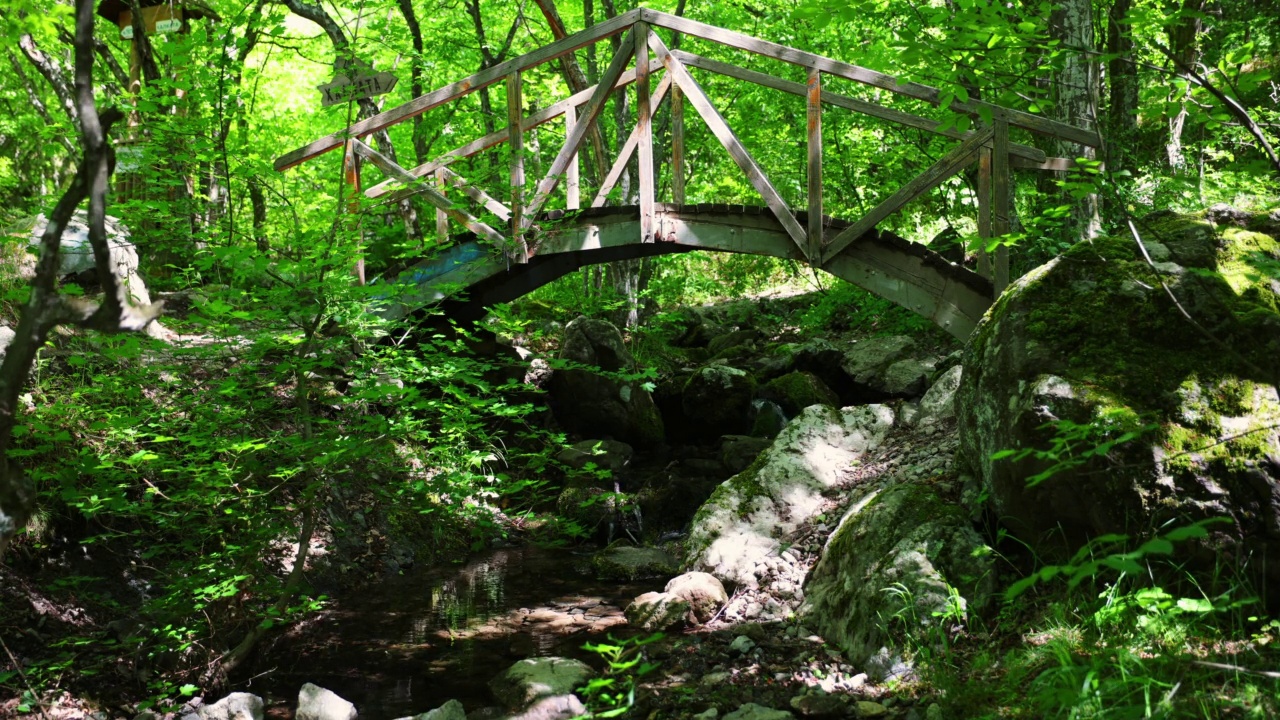 山河、小溪、木桥。森林中流淌的小溪。瀑布视频素材