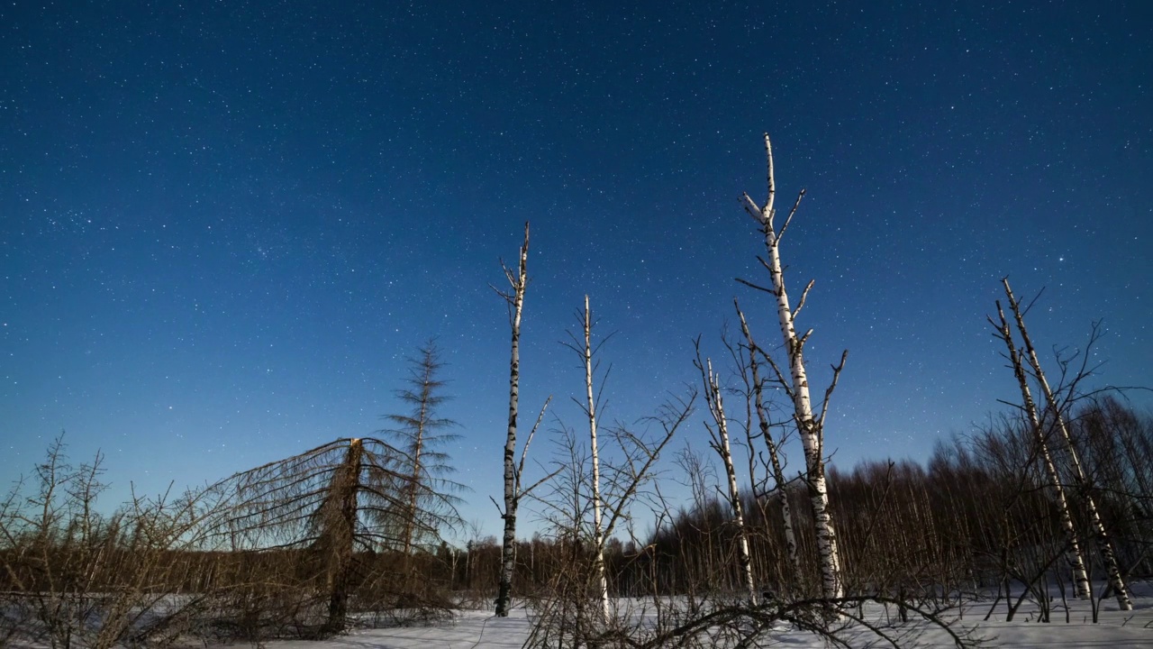 星光熠熠的冬季景观视频素材