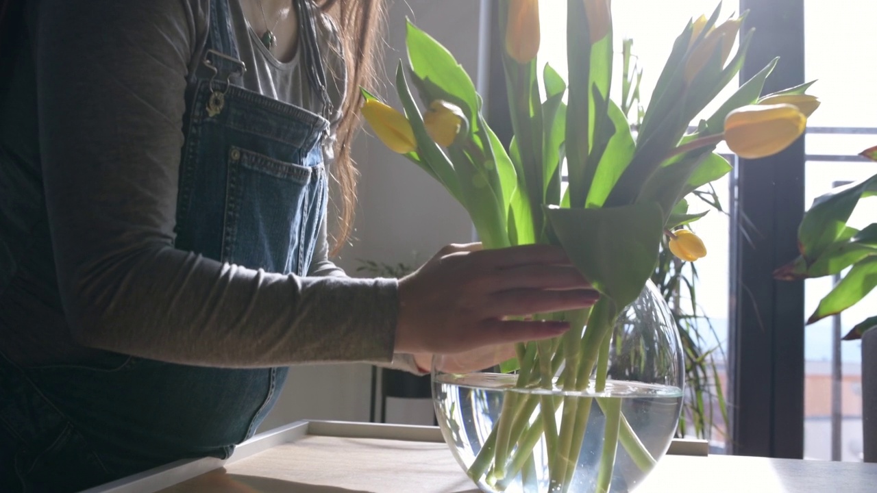 孕妇在家里整理春天的郁金香。视频下载