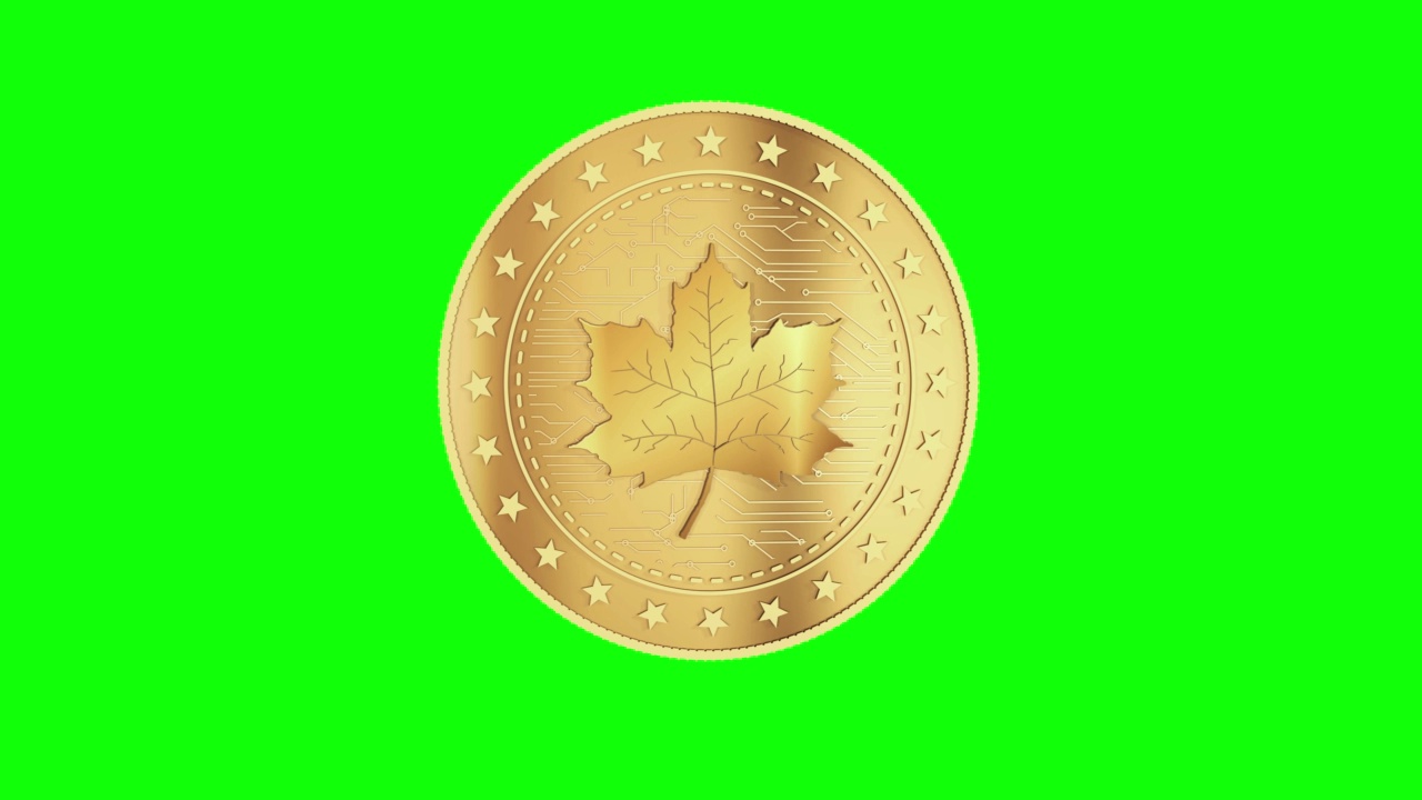枫叶加拿大金币隔离循环在绿色屏幕上视频素材