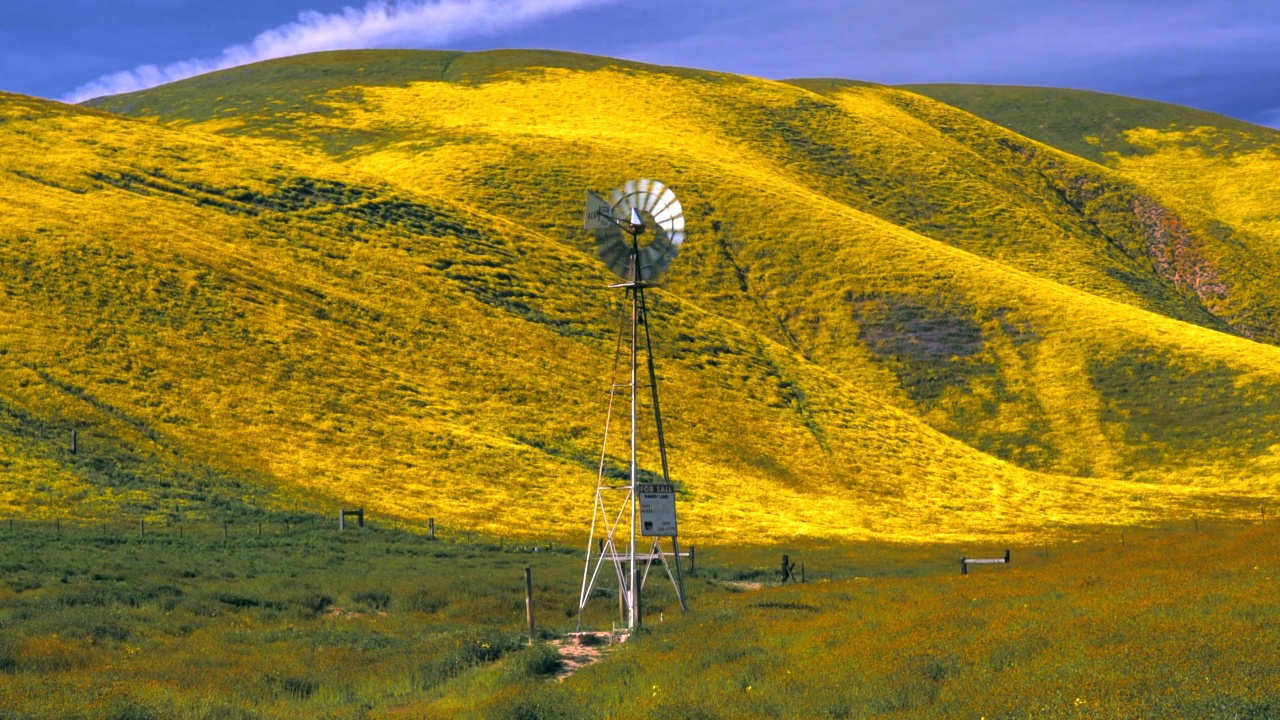 在加州中部的苏打湖和库山附近，雨水过后，春季的风车和野花“超级开花”视频素材