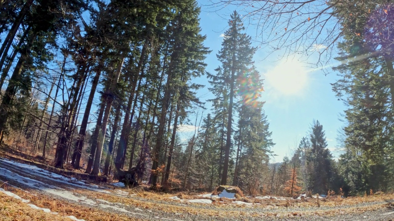 一个阳光明媚的日子，一个女人在树林里跑步视频下载