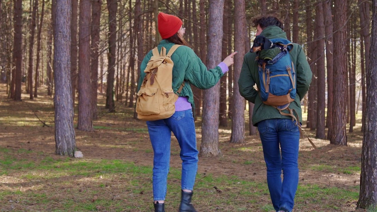 一对年轻的异性恋夫妇带着狗在森林里徒步旅行视频素材