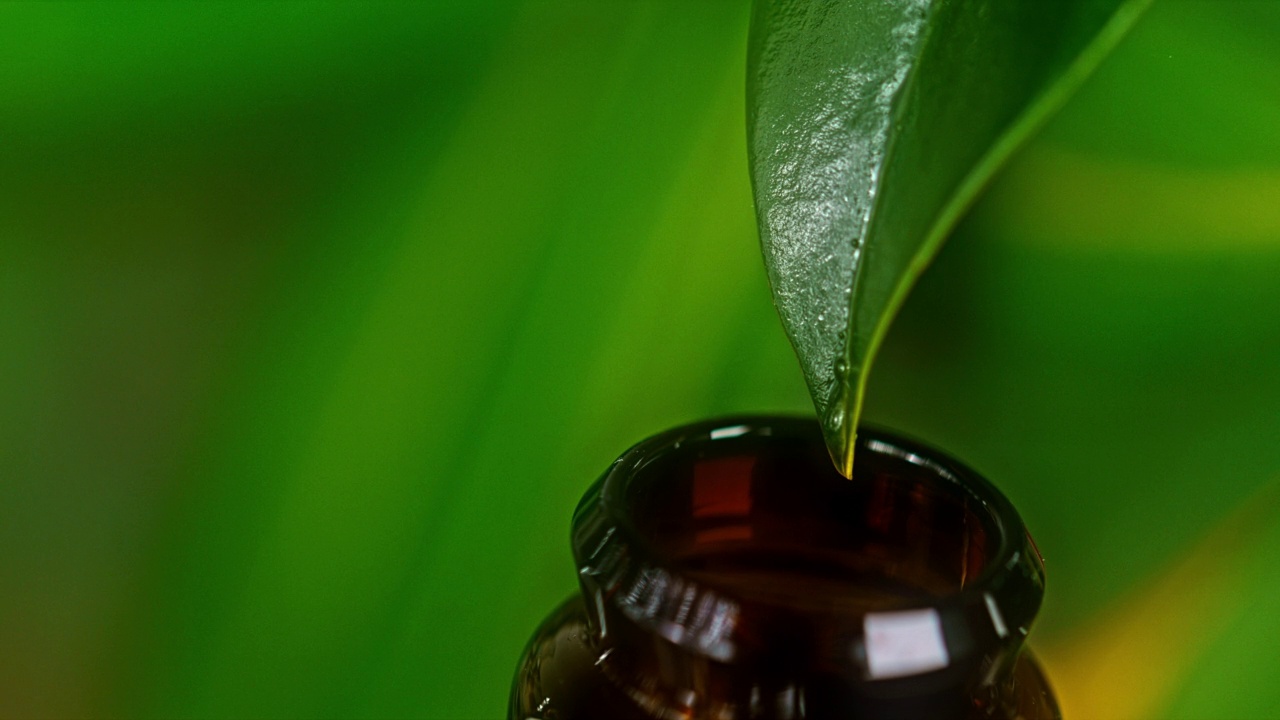 一滴水滴在一片绿叶上，滴进一个小瓶子里视频素材