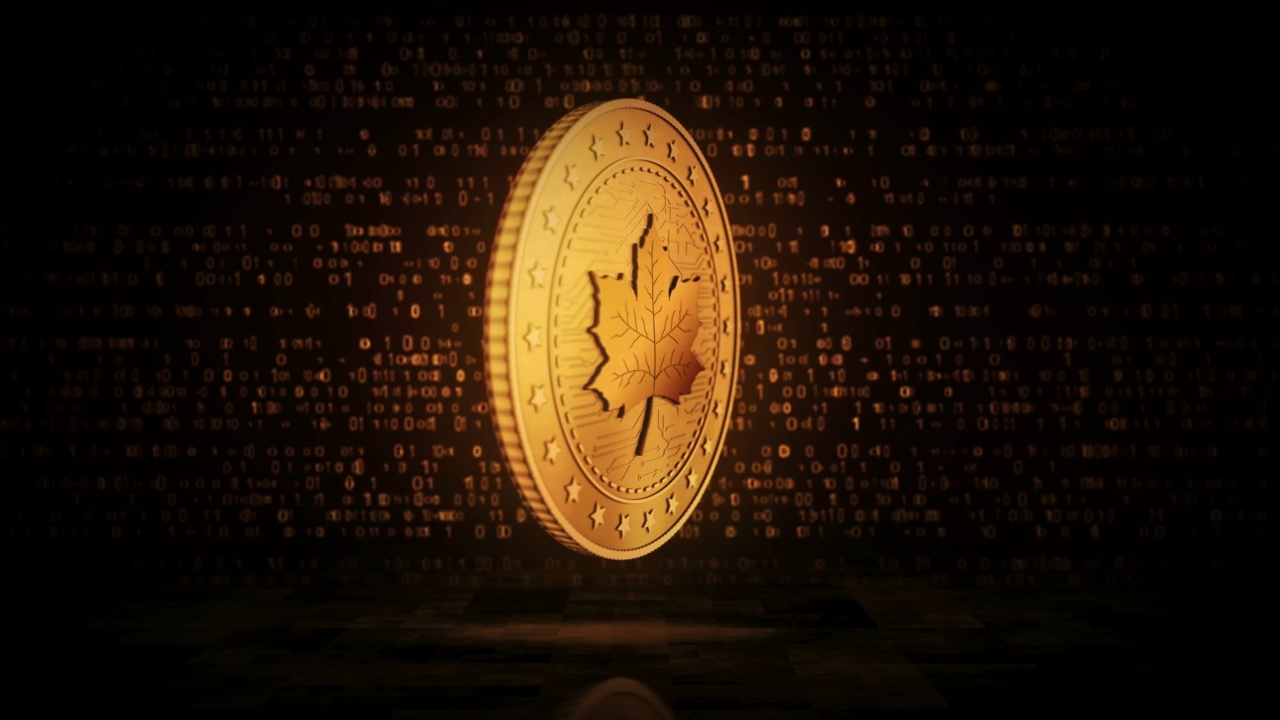 在数字背景上枫叶加拿大金币循环视频素材
