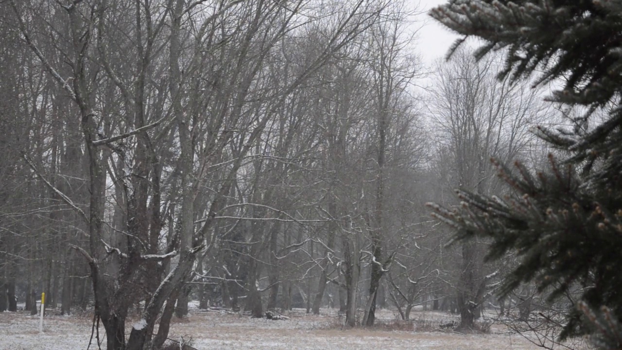 美丽的宾夕法尼亚冬季风景视频素材