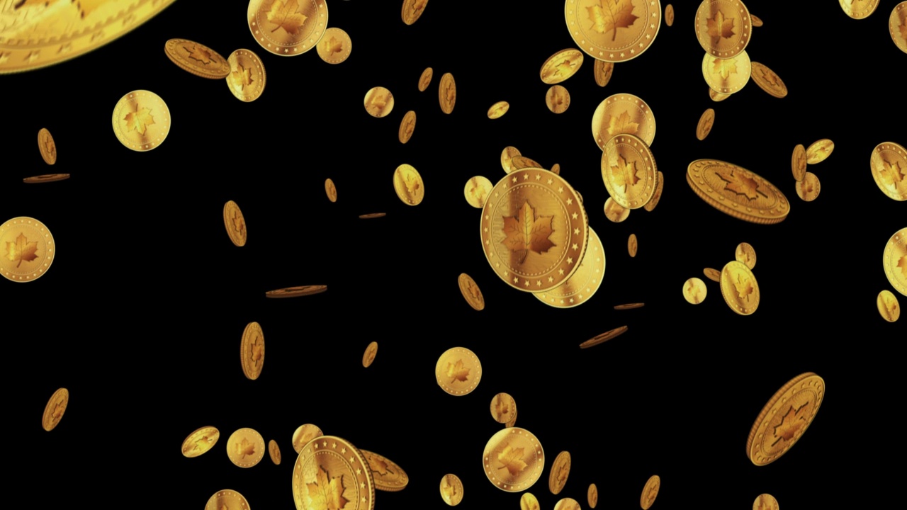 枫叶加拿大金币落雨环视频素材