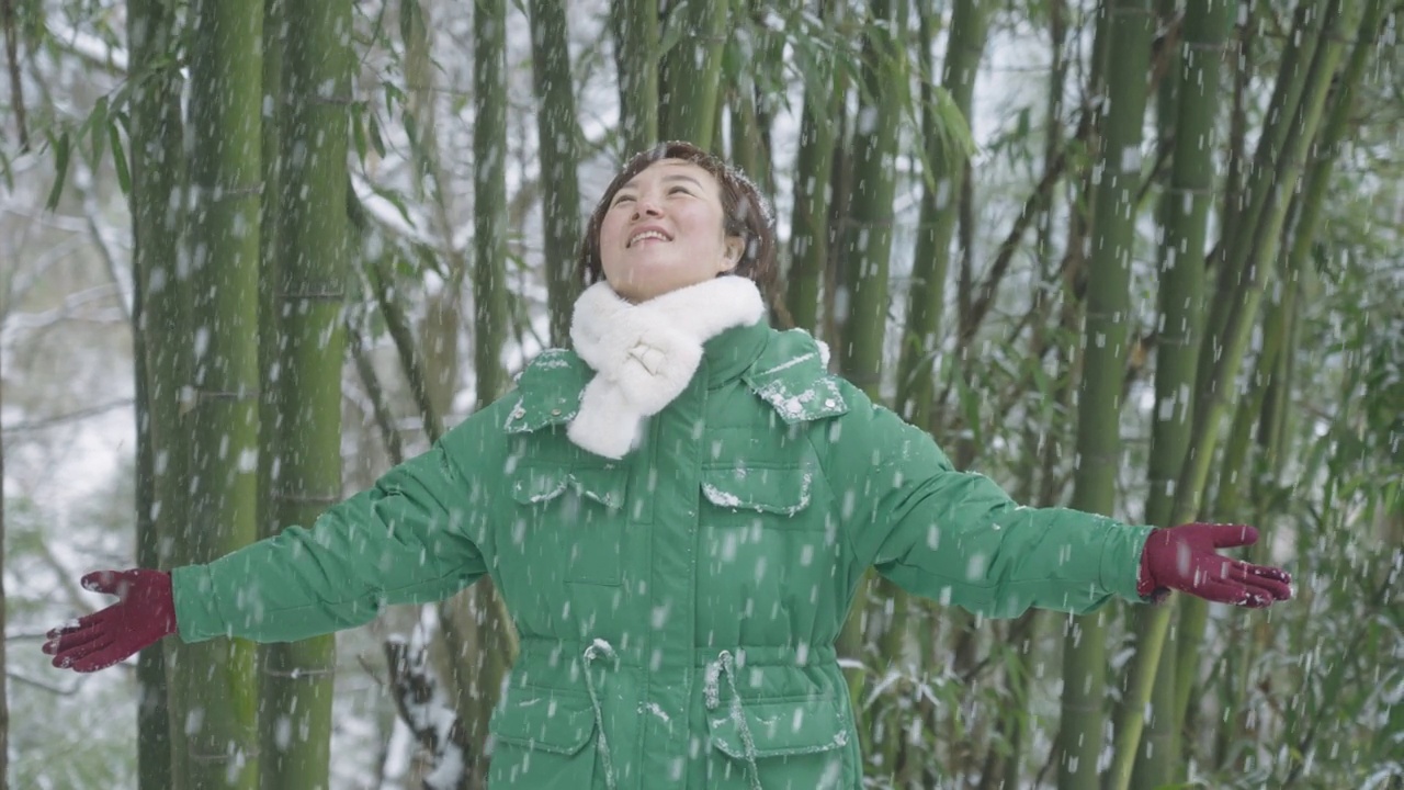 女人在雪地里玩视频下载