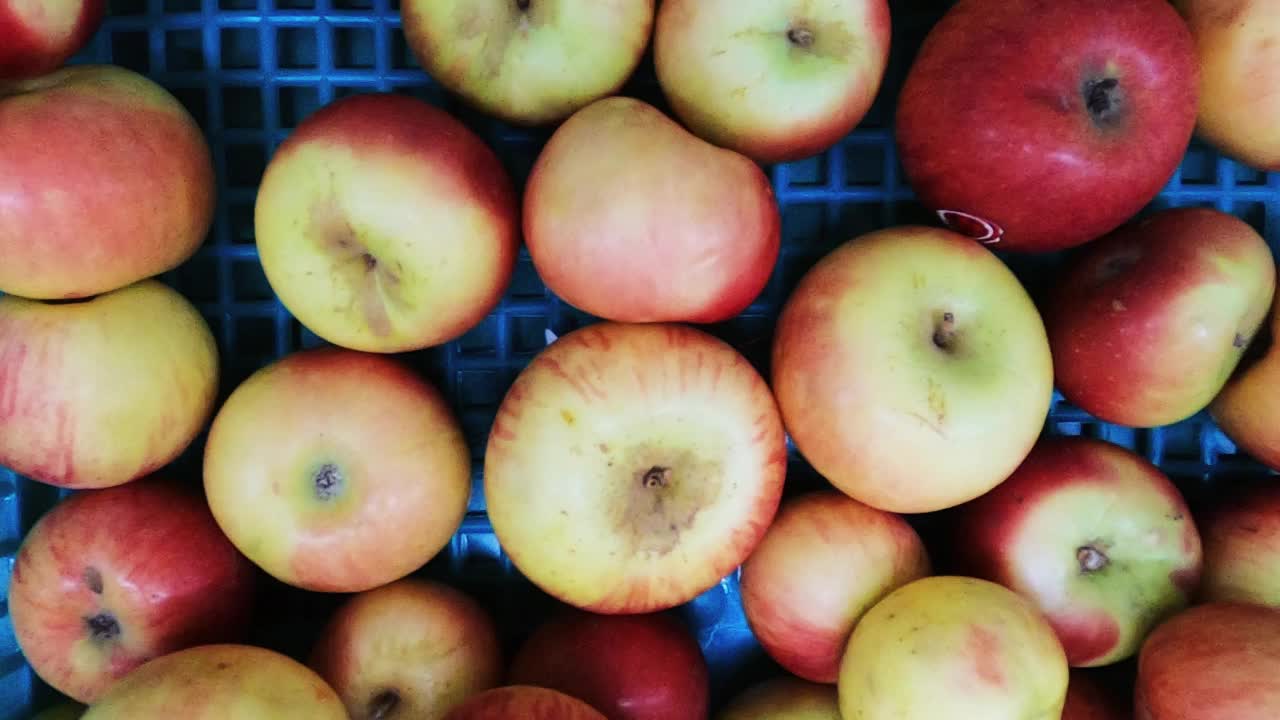 苹果果实。一堆混合颜色的苹果在一个超级商店的篮子里平滑运动顶视图。视频素材