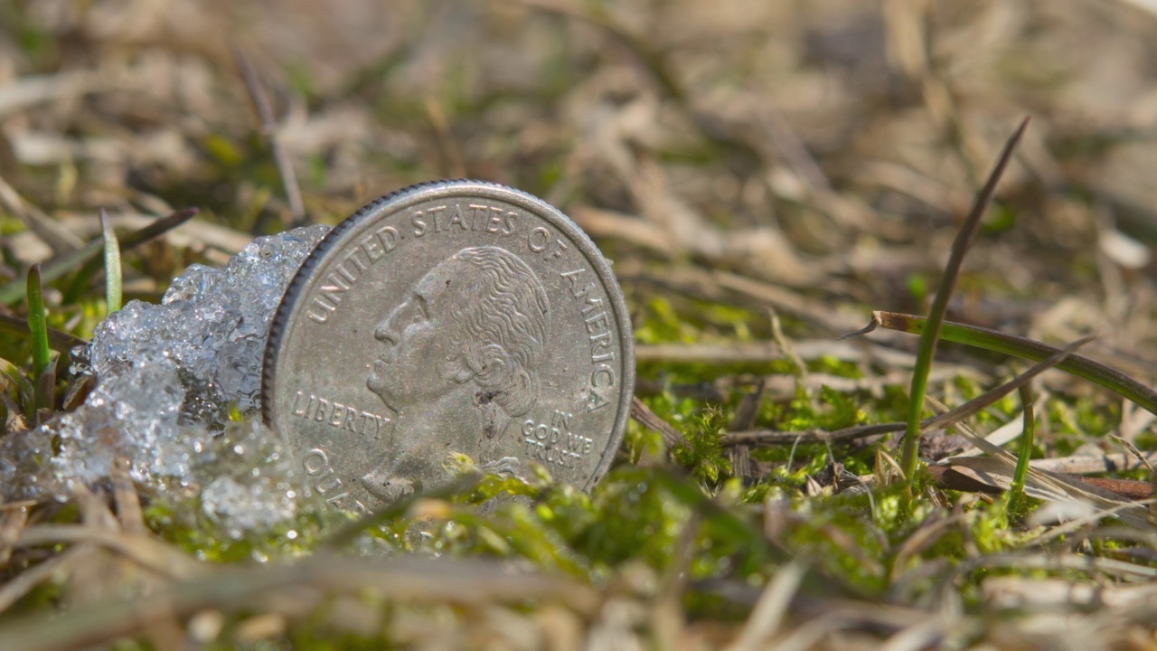到了春天，一枚25美分的硬币从雪中融化了视频下载