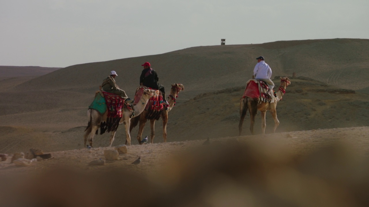 潘女士正在追踪吉萨骑骆驼的游客。视频下载