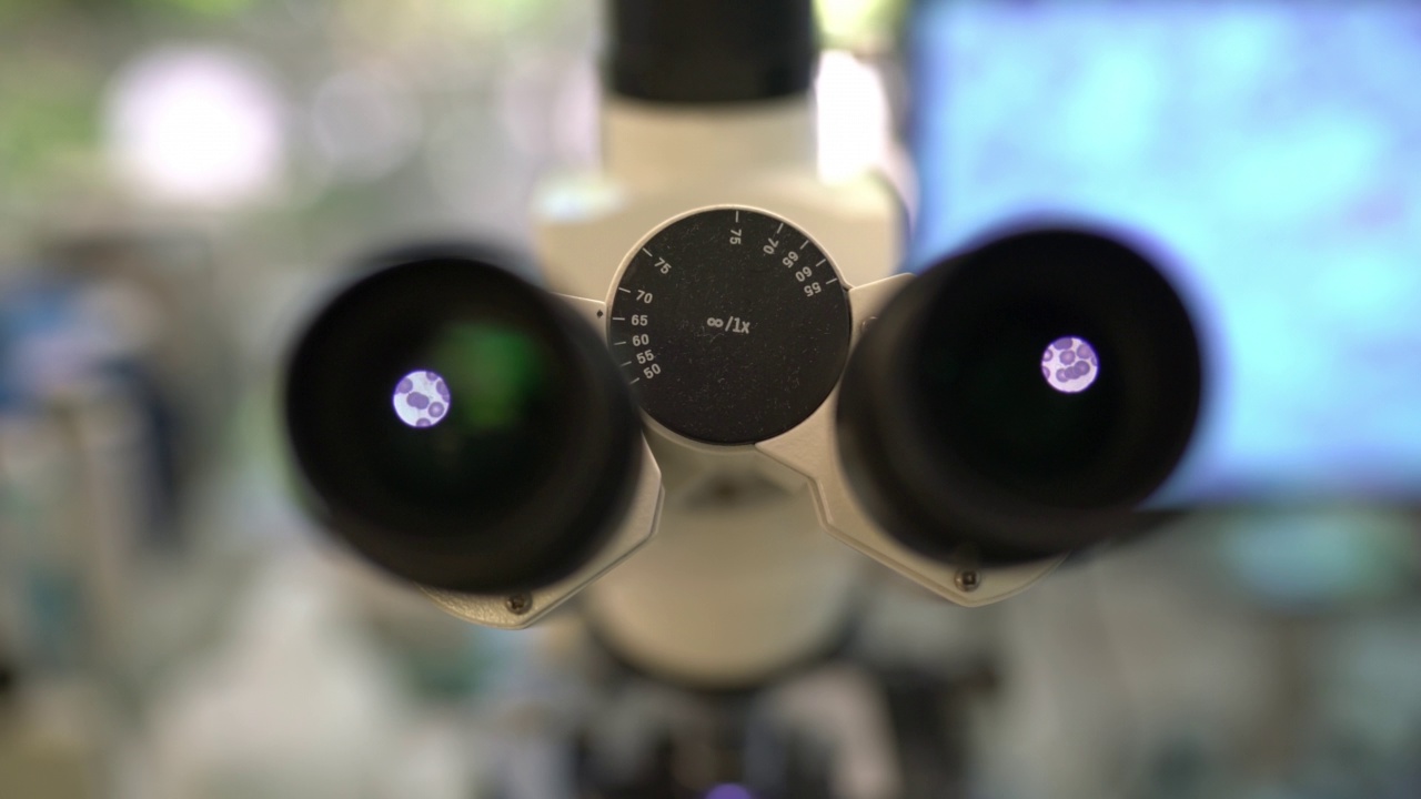 医学实验室的显微镜视频下载