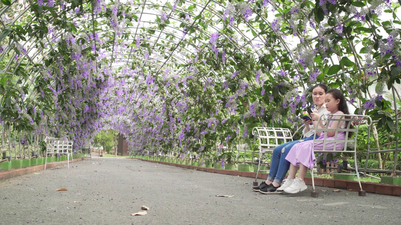 十几岁的女孩在紫藤花树下拍照视频素材