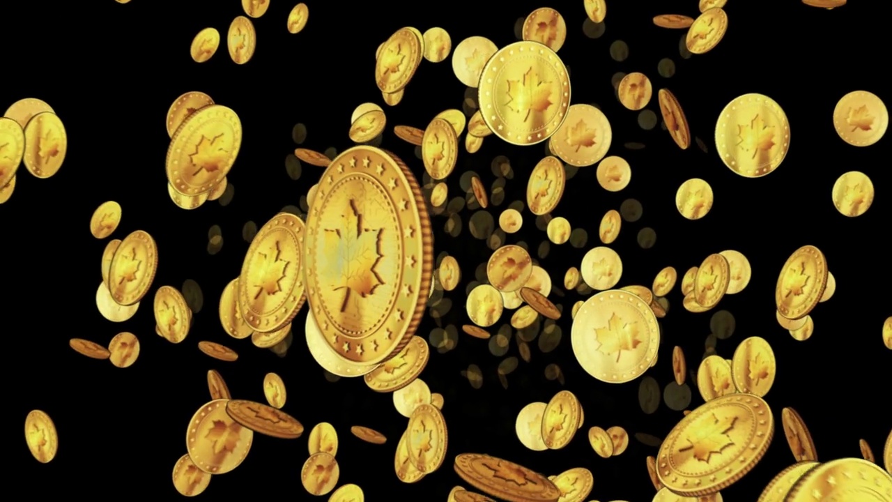 加拿大枫叶在金币之间盘旋飞行视频素材
