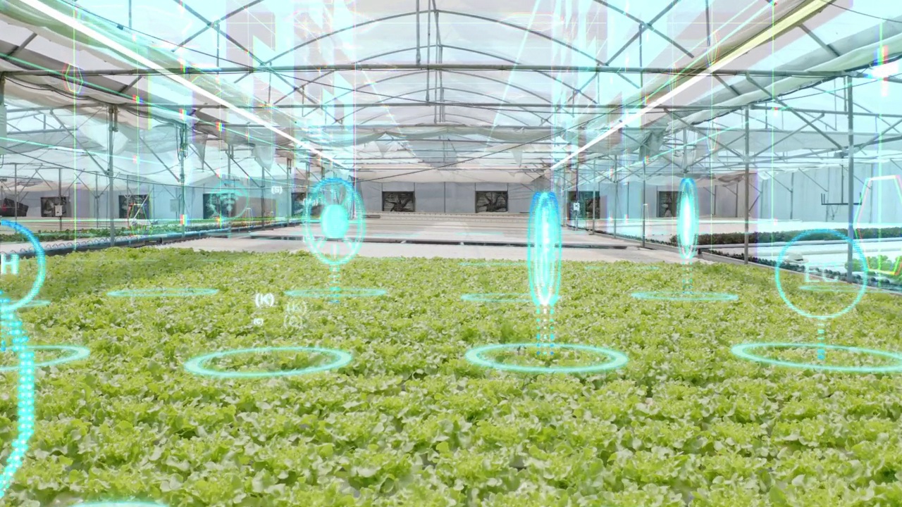 带有增强现实和虚拟现实界面的水培农场，未来农业技术，智能农业概念，工业革命概念视频下载