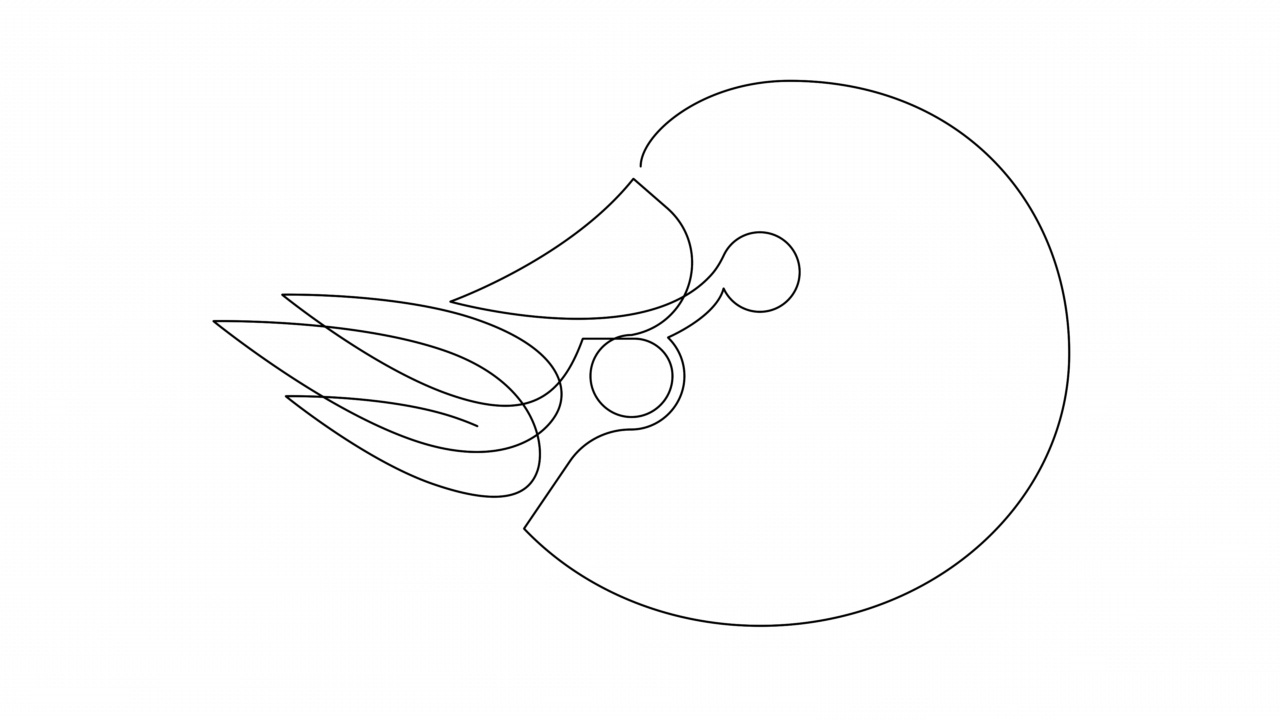 自画鹦鹉螺单连续单线画简单动画。手绘，在白色背景上画黑线。视频下载