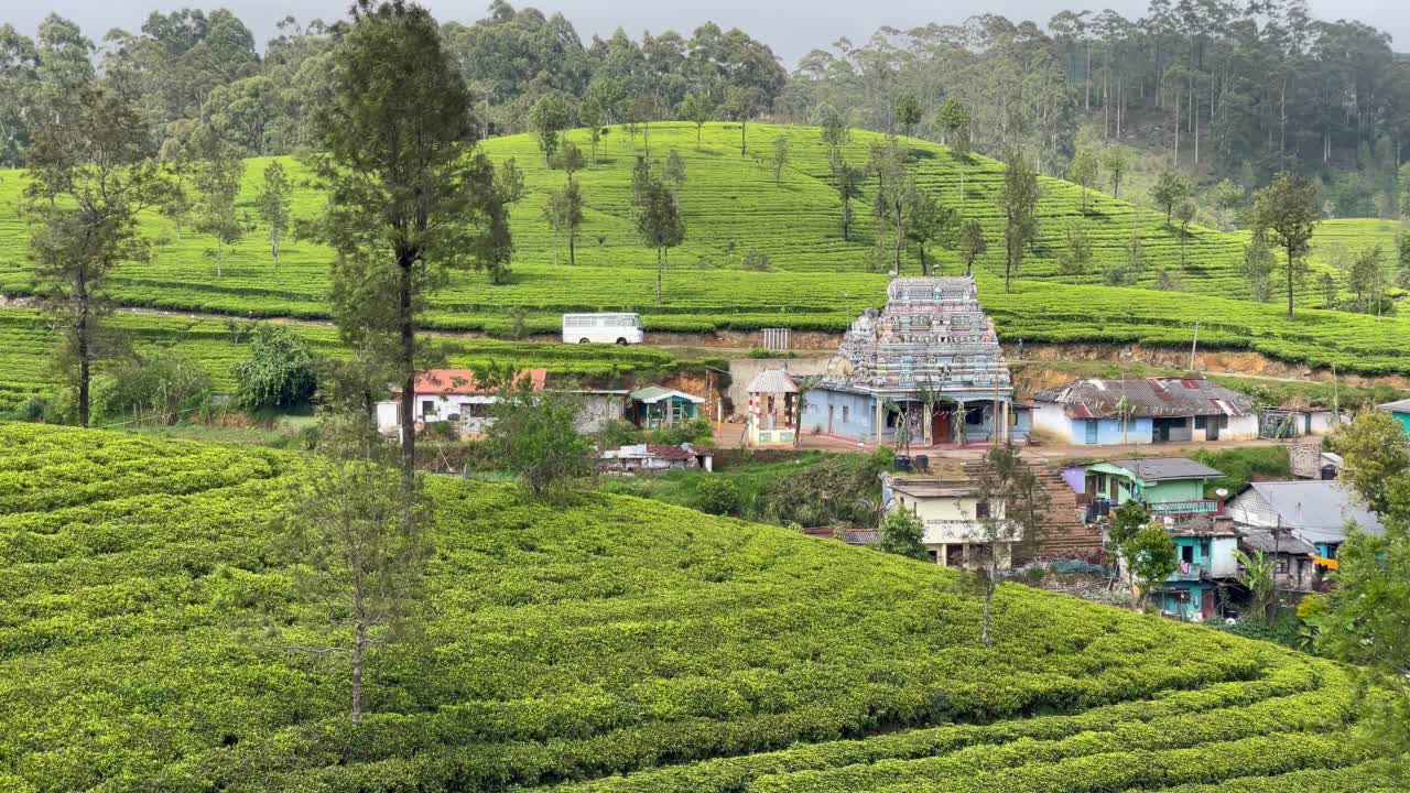 Sri Muthumariyamman kovil Tample位于锡兰绿茶种植园的一个小村庄里，4K镜头。异国旅游或茶叶种植农业的概念。Haputale、斯里兰卡视频素材