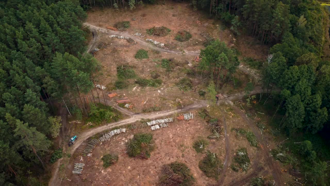无人机拍摄的乡村森林区域。切割松林视频素材
