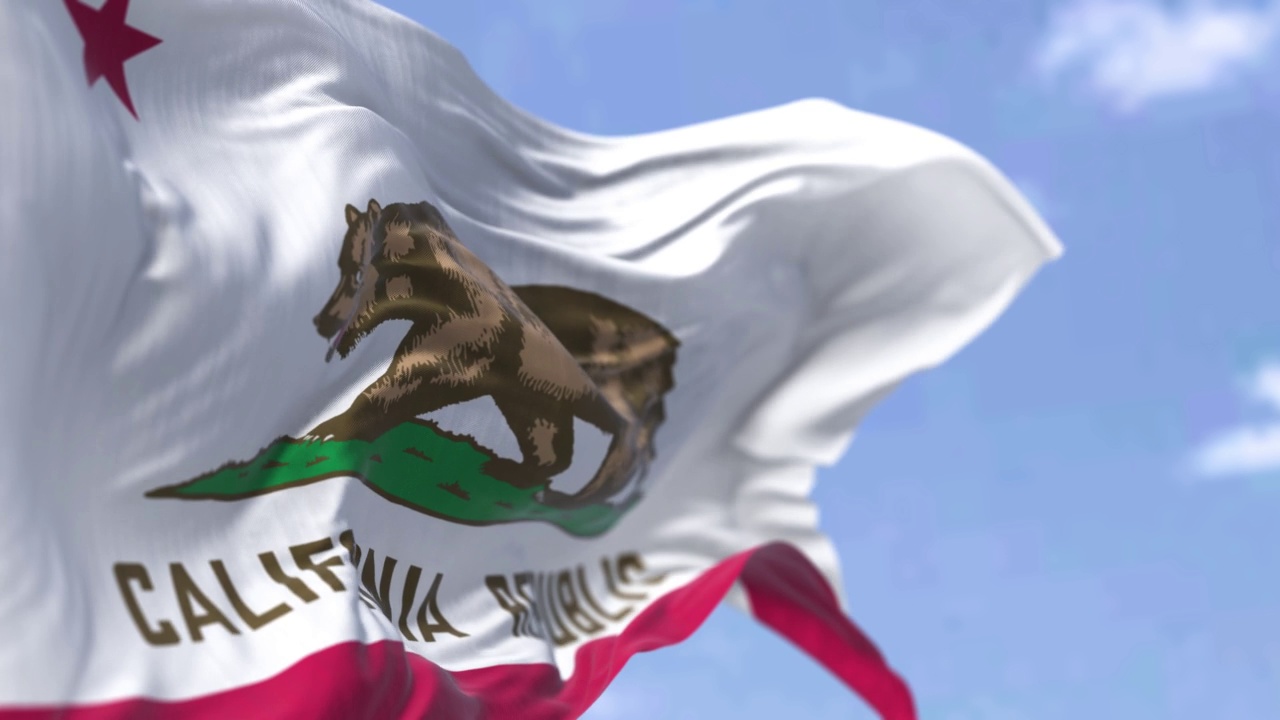 加州共和国的旗帜和在风中挥舞的大灰熊视频下载