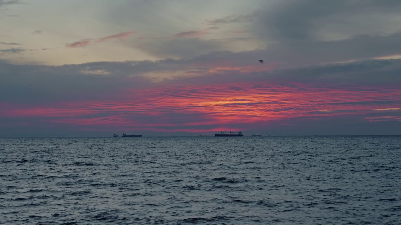 日落时，货船停泊在海上视频素材