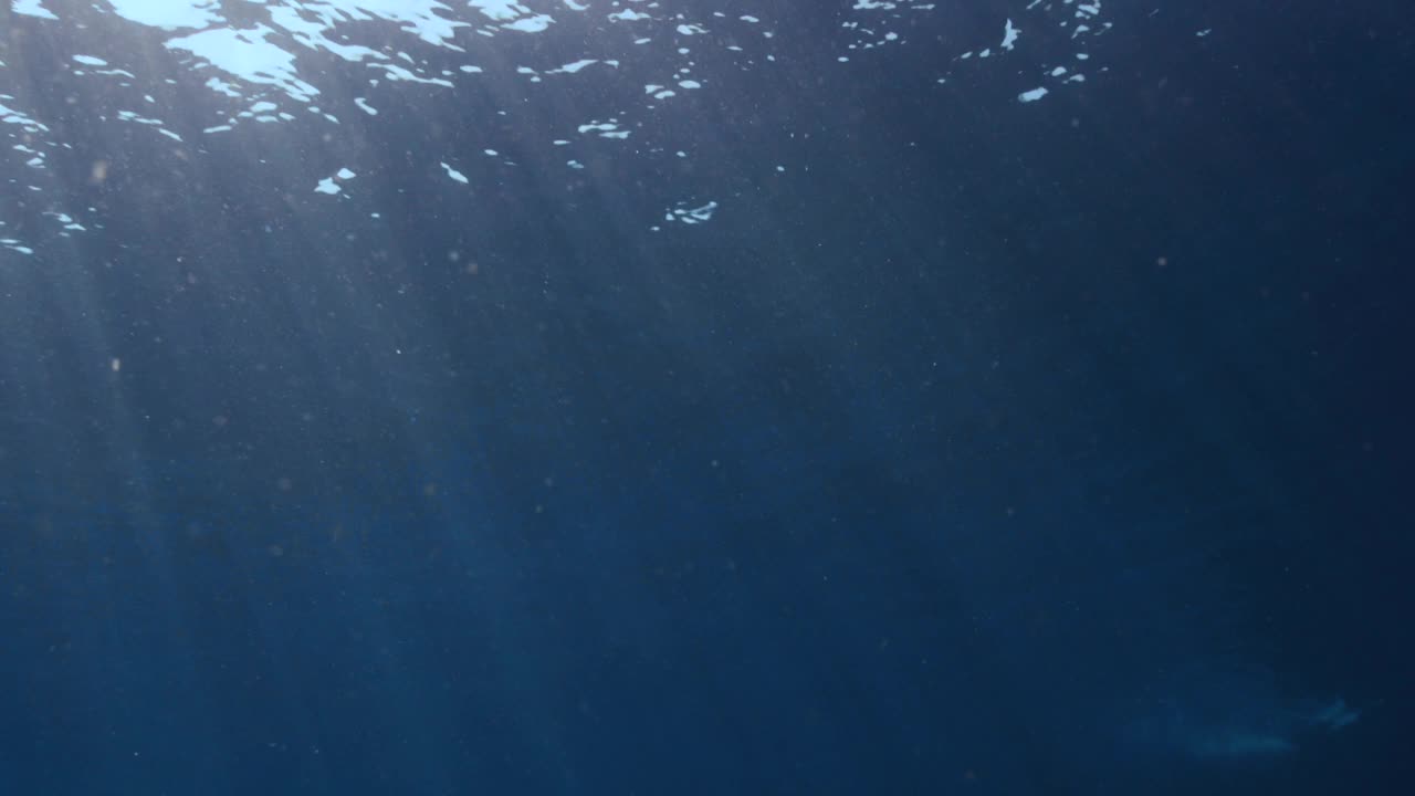 水下视角的海洋只有背景与阳光视频素材