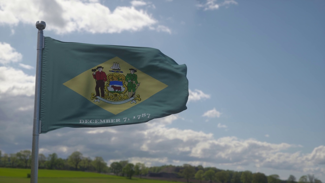 特拉华州的旗帜挂在旗杆上，在空中迎风飘扬。美国的特拉华州视频下载