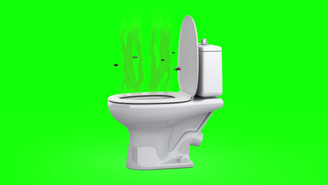 厕所里散发着恶臭。3D动画，绿色屏幕，循环。视频下载