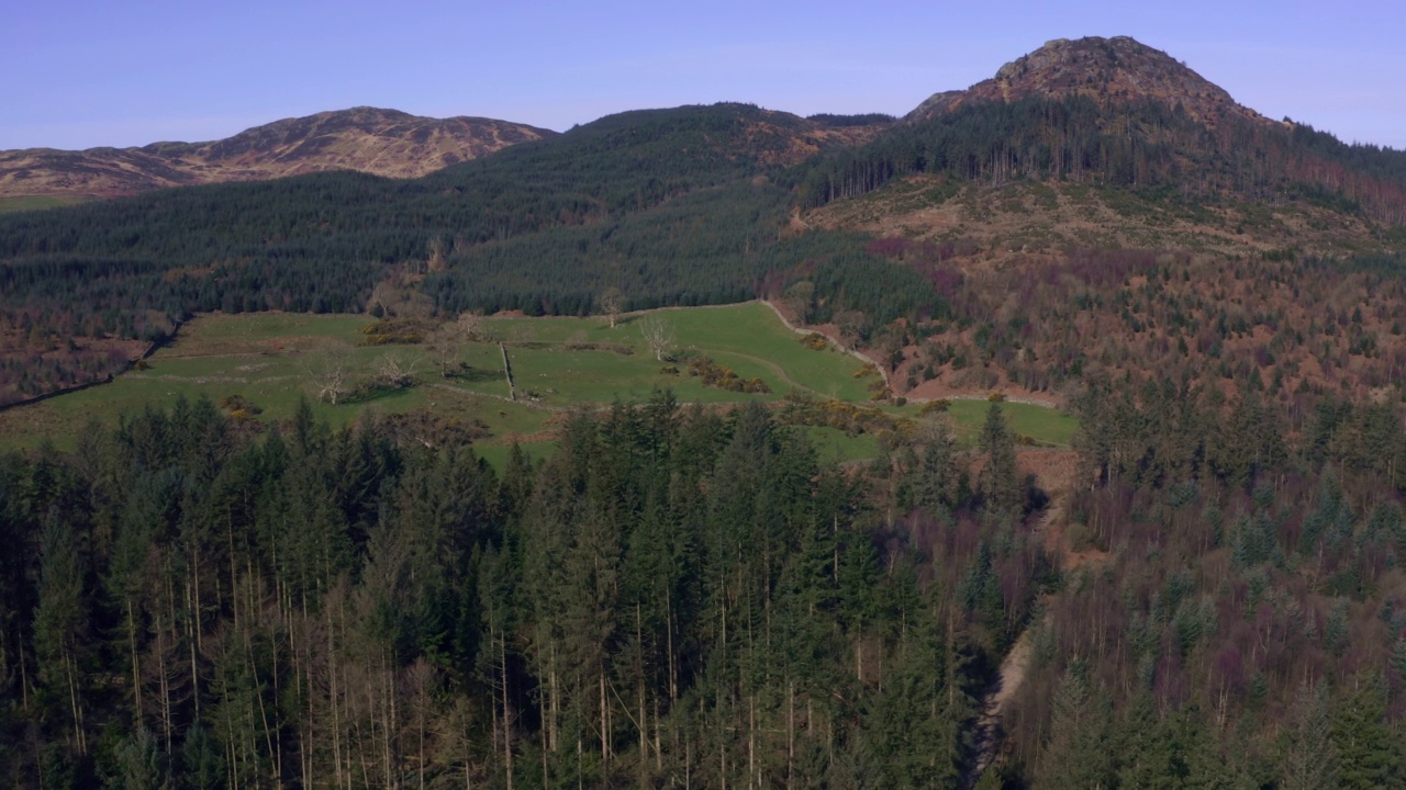 苏格兰云杉森林和山丘的鸟瞰图视频素材