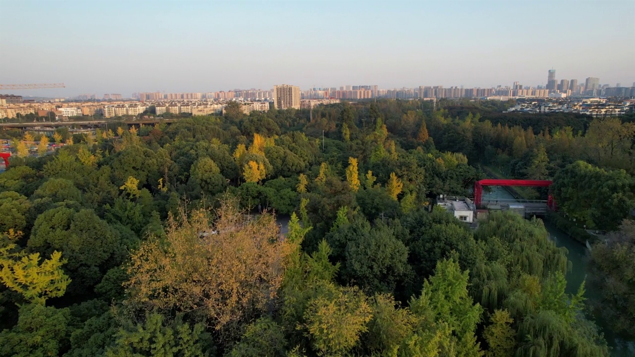 无人机拍摄的中国成都沙河公园的森林视频素材