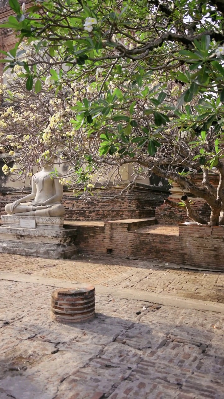 泰国大城府的Yai Chaya Mongkol寺。它是这座古城的著名地标之一。视频下载